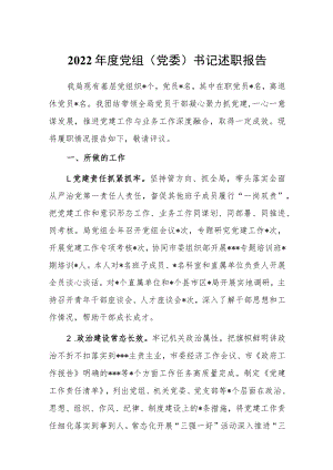 2022年度党组（党委）书记述职报告.docx