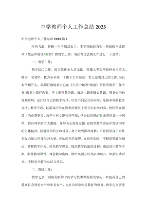 中学教师个人工作总结2023.docx