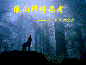 像山那样思考ppt.ppt