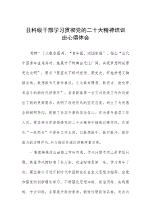 县科级干部学习贯彻党的二十大精神培训班心得体会.docx