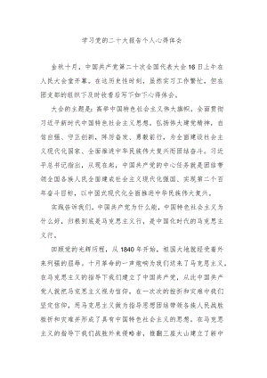 学习党的二十大报告个人心得体会.docx