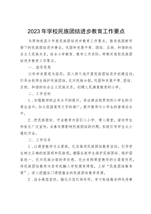 学校民族团结进步教育工作要点.docx