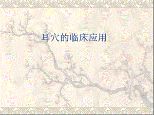 耳穴的临床应用.ppt