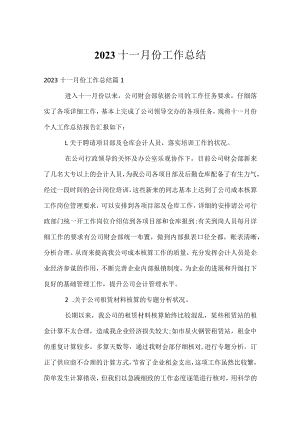 2023十一月份工作总结.docx