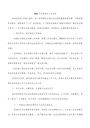 2023年街道普法工作总结.docx