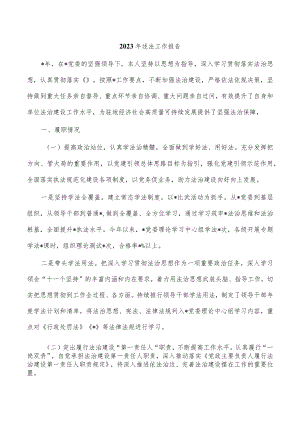 2023年述法工作报告.docx