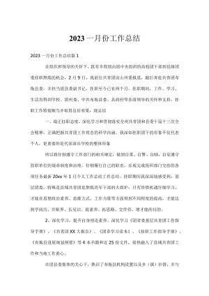 2023一月份工作总结.docx