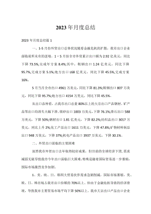 2023年月度总结.docx