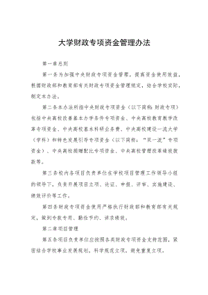 大学财政专项资金管理办法.docx