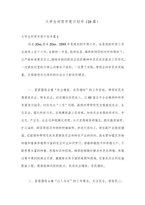 （24篇）大学生村官年度计划书.docx