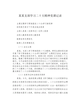 某某支部学习二十大精神党课记录.docx