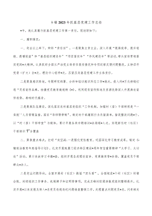 乡镇2023年抓基层党建工作总结.docx