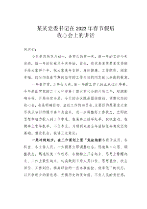 某某党委书记在2023年春节假后收心会上的讲话.docx