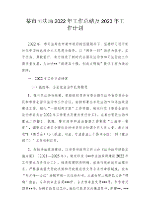 某市司法局2022年工作总结及2023年工作计划.docx