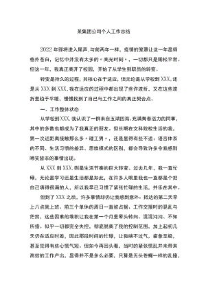 集团公司个人工作总结.docx