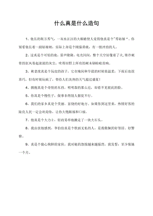 什么真是什么造句.docx