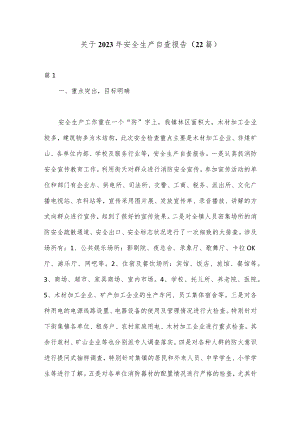 （22篇）关于2023年安全生产自查报告.docx