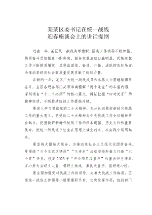 某某区委书记在统一战线迎春座谈会上的讲话提纲.docx