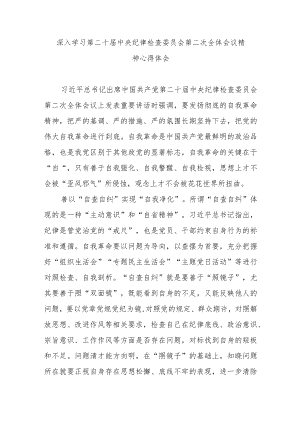 深入学习第二十届中央纪律检查委员会第二次全体会议精神心得体会3篇.docx