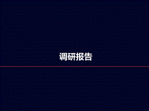 RIO鸡尾酒调研报告.ppt