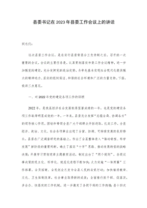 县委书记在2023年县委工作会议上的讲话.docx