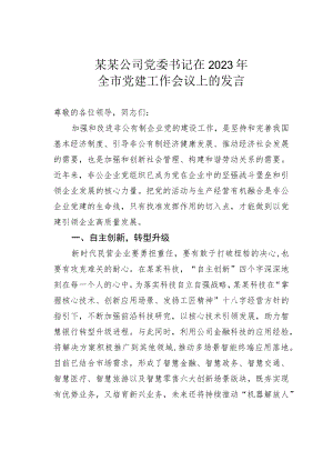 某某公司党委书记在2023年全市党建工作会议上的发言.docx