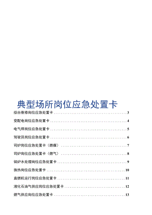 典型场所岗位应急处置卡.docx