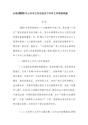 乡镇2023年上半年工作总结及下半年工作思路两篇.docx