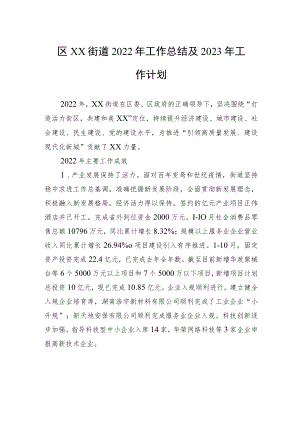 区XX街道2022年工作总结及2023年工作计划.docx