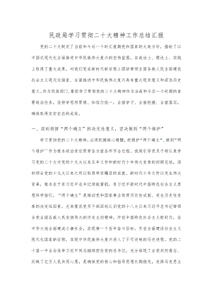 民政局学习贯彻二十大精神工作总结汇报.docx