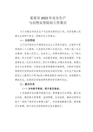 某某市2023年安全生产与自然灾害防治工作要点.docx