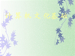 大学计算机基础教程第一章计算机基础知识.ppt