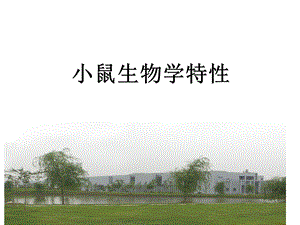 1、小鼠生物学特性.ppt