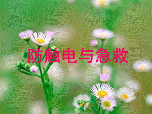 防触电安全教育.ppt