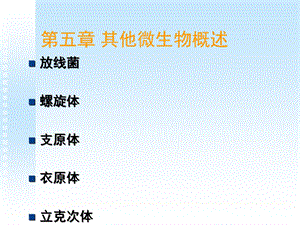 10其他微生物.ppt