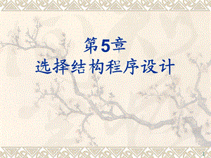 c5选择结构程序设计.ppt