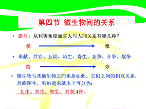 5.3微生物与微生物之间的关系.ppt