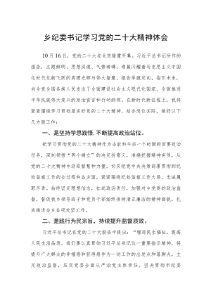 乡纪委书记学习党的二十大精神体会通用【三篇】.docx