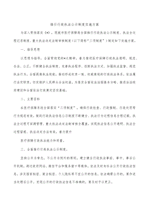 推行行政执法公示制度实施方案.docx