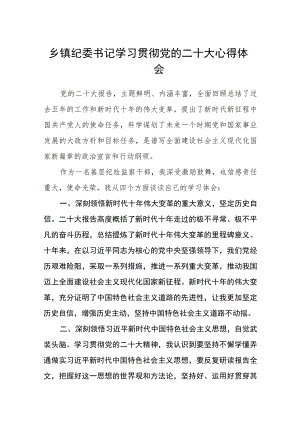 乡镇纪委书记学习贯彻党的二十大心得体会三篇样本.docx