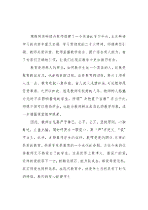 2023年小学教师寒假网络研修培训专题心得体会范本【5篇】.docx
