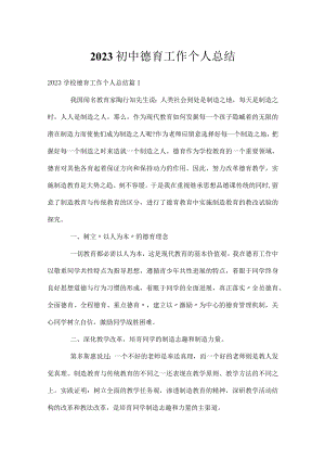 2023初中德育工作个人总结.docx
