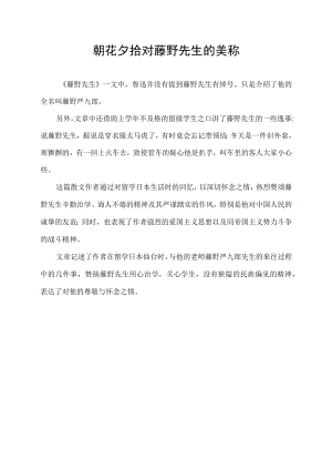 朝花夕拾对藤野先生的美称.docx