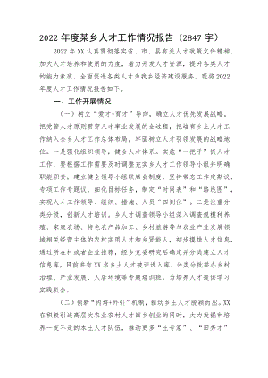 2022年度某乡人才工作情况报告.docx