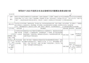 领导班子2022年度民主生活会查摆存在问题整改清单台账方案.docx