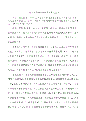 工商业联合会代表大会开幕式发言.docx