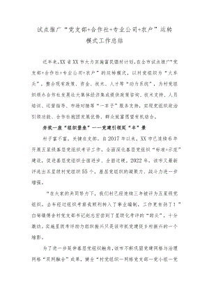 试点推广“党支部＋合作社＋专业公司＋农户”运转模式工作总结.docx