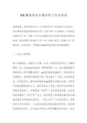 XX镇领导在乡镇农村工作会讲话.docx
