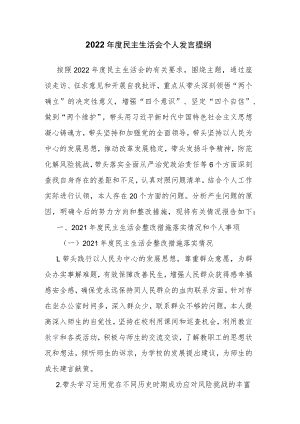 2022年度民主生活会个人发言提纲.docx