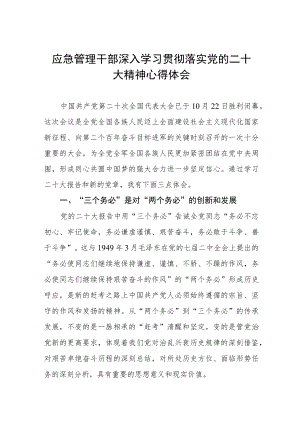 应急管理干部深入学习贯彻落实党的二十大精神心得体会.docx